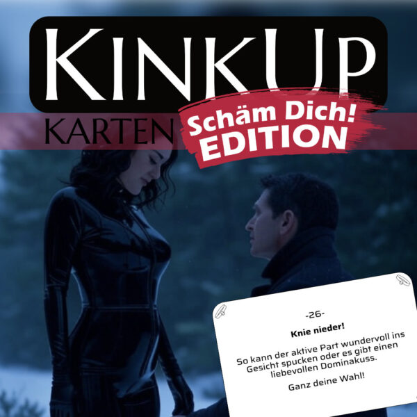 KinkUp Karten - Schäm Dich! Edition Download – Bild 3