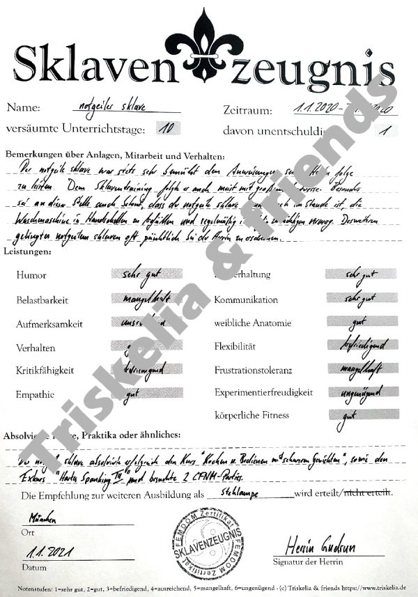 KinkUp Zeugnisformblätter – Bild 2